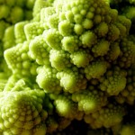 Cauliflower.  Photo credit: OliBac via photopin cc