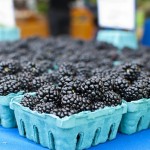 Berries.  photo credit: ...-Wink-... via photopin cc