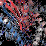 Iron-Based Proteins In the Brain May Be Biomarker for ALS Diagnosis and Progression, Study Concludes